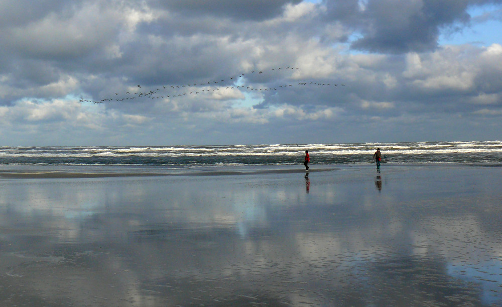 Strandspaziergang 3