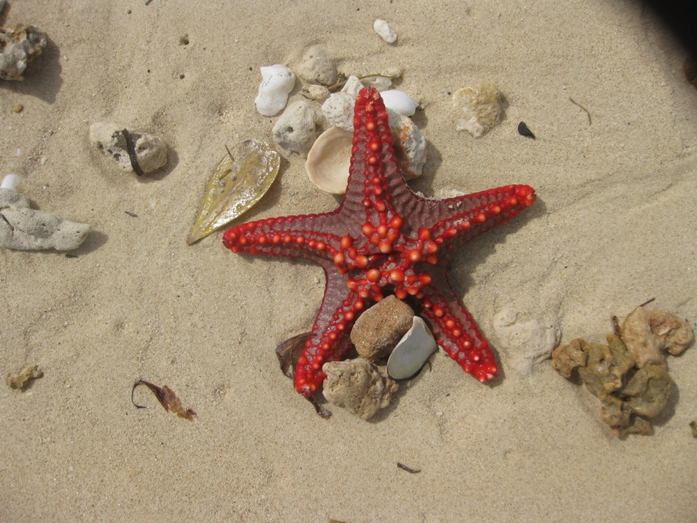 Strandspaziergang