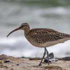 Strandspaziergang