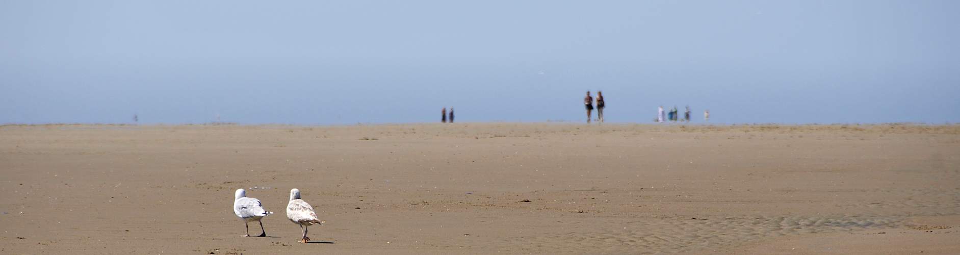 Strandspaziergang