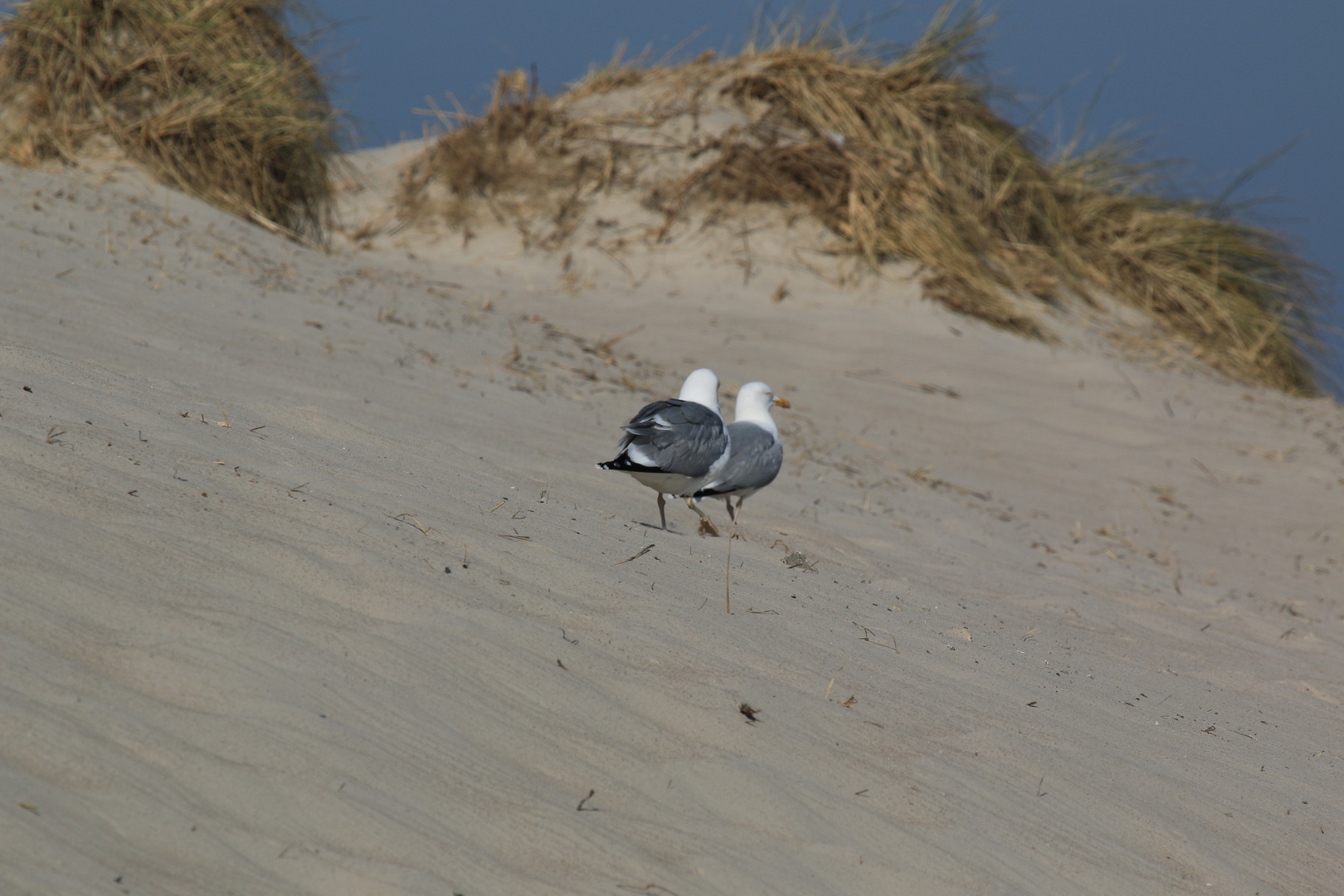 Strandspaziergang