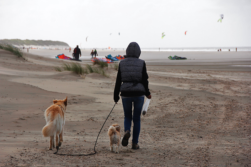 Strandspaziergang