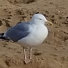 Strandspaziergang