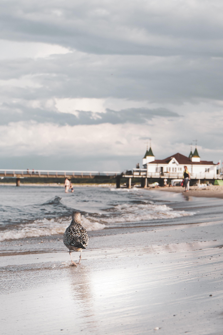 Strandspaziergang