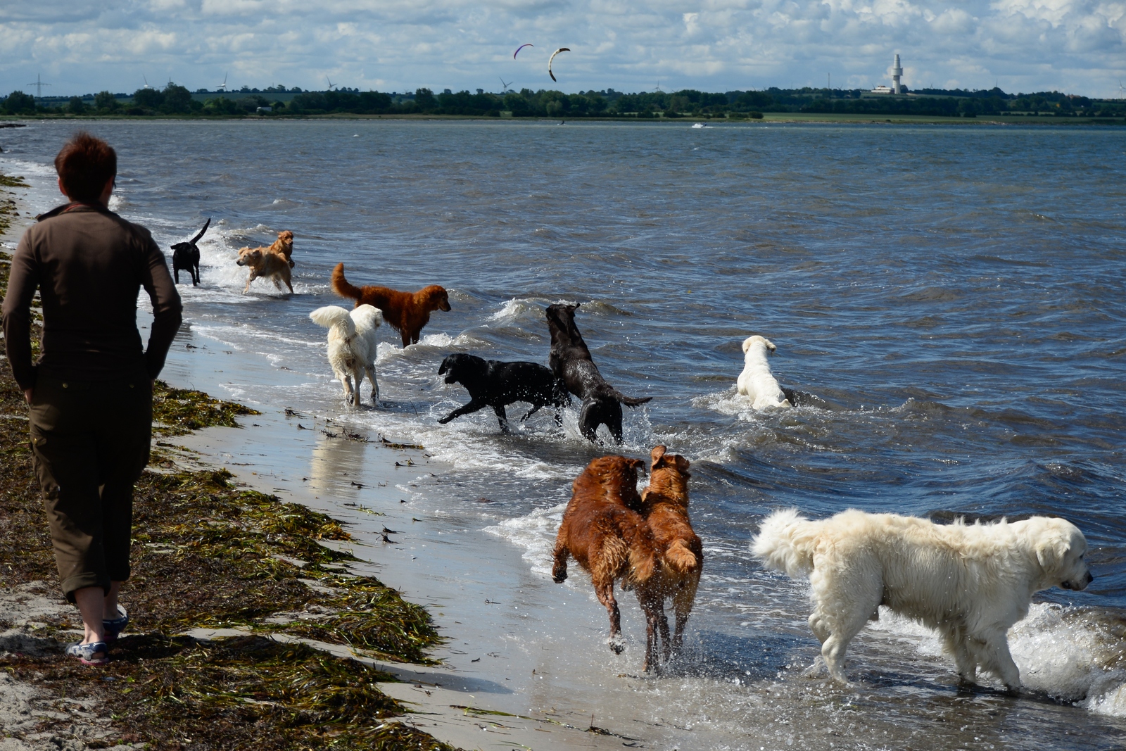 "Strandspaziergang"