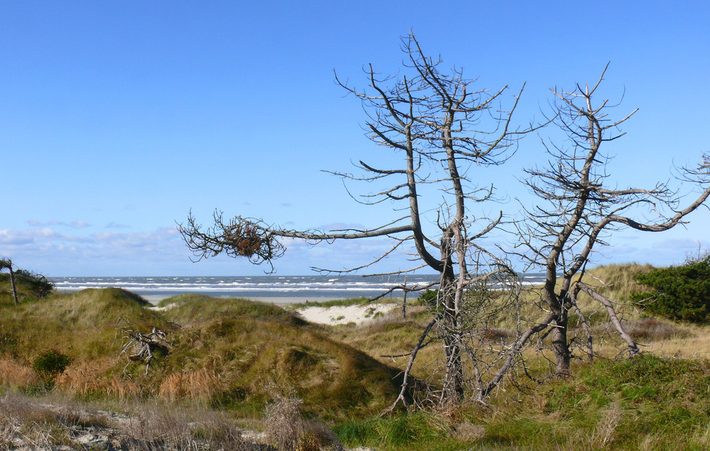 Strandspaziergang 5