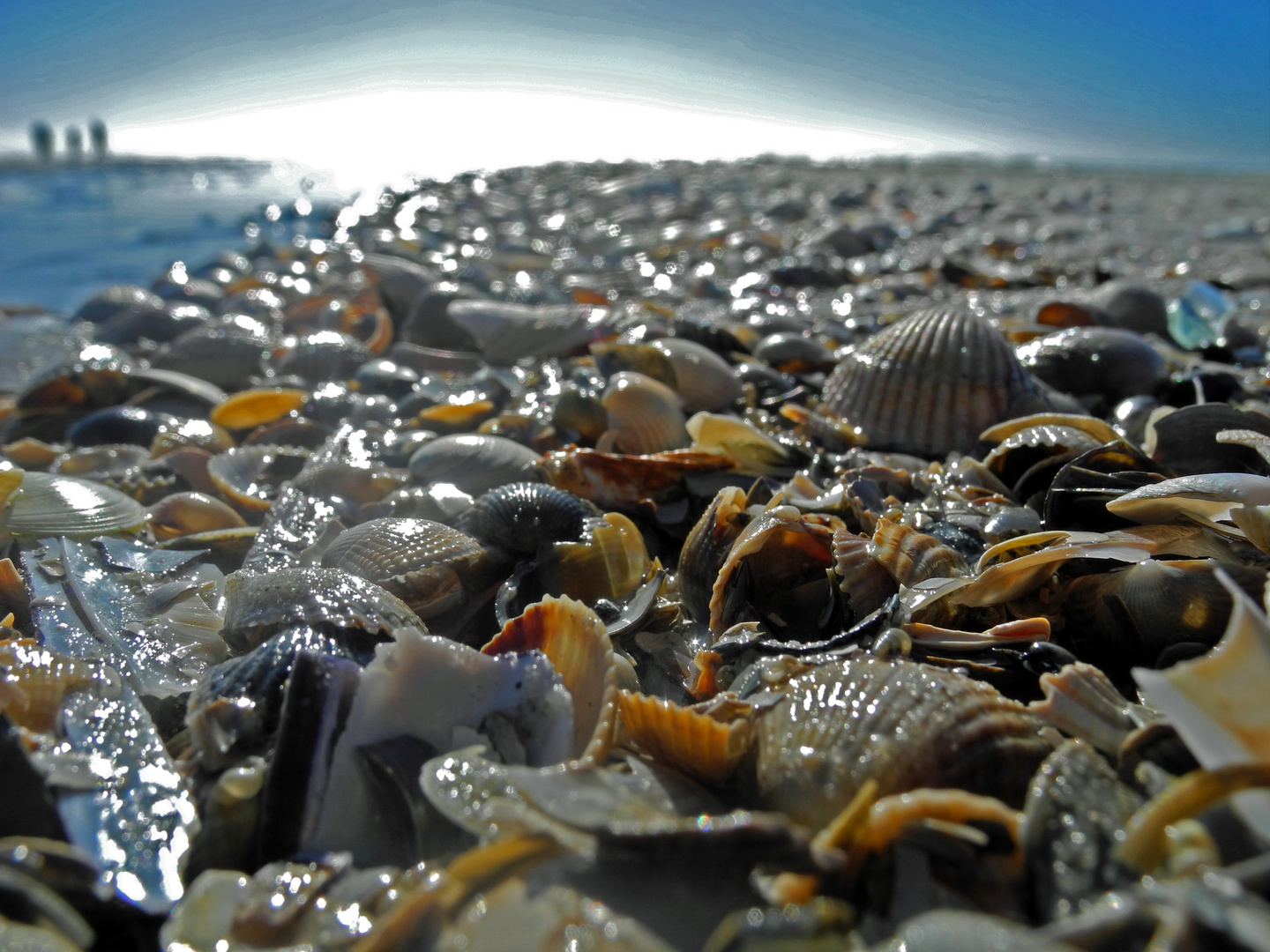 Strandspaziergang 5