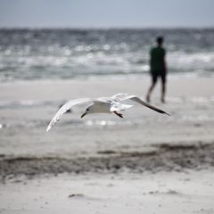 Strandspaziergang