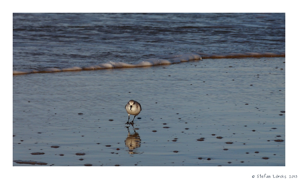 Strandspaziergang