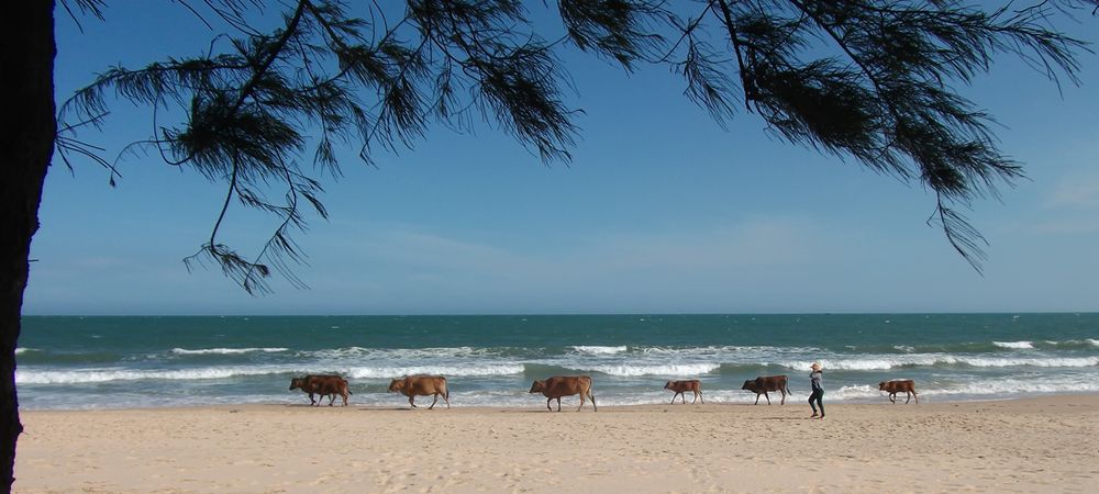 Strandspaziergang...