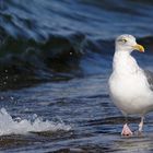 Strandspaziergang