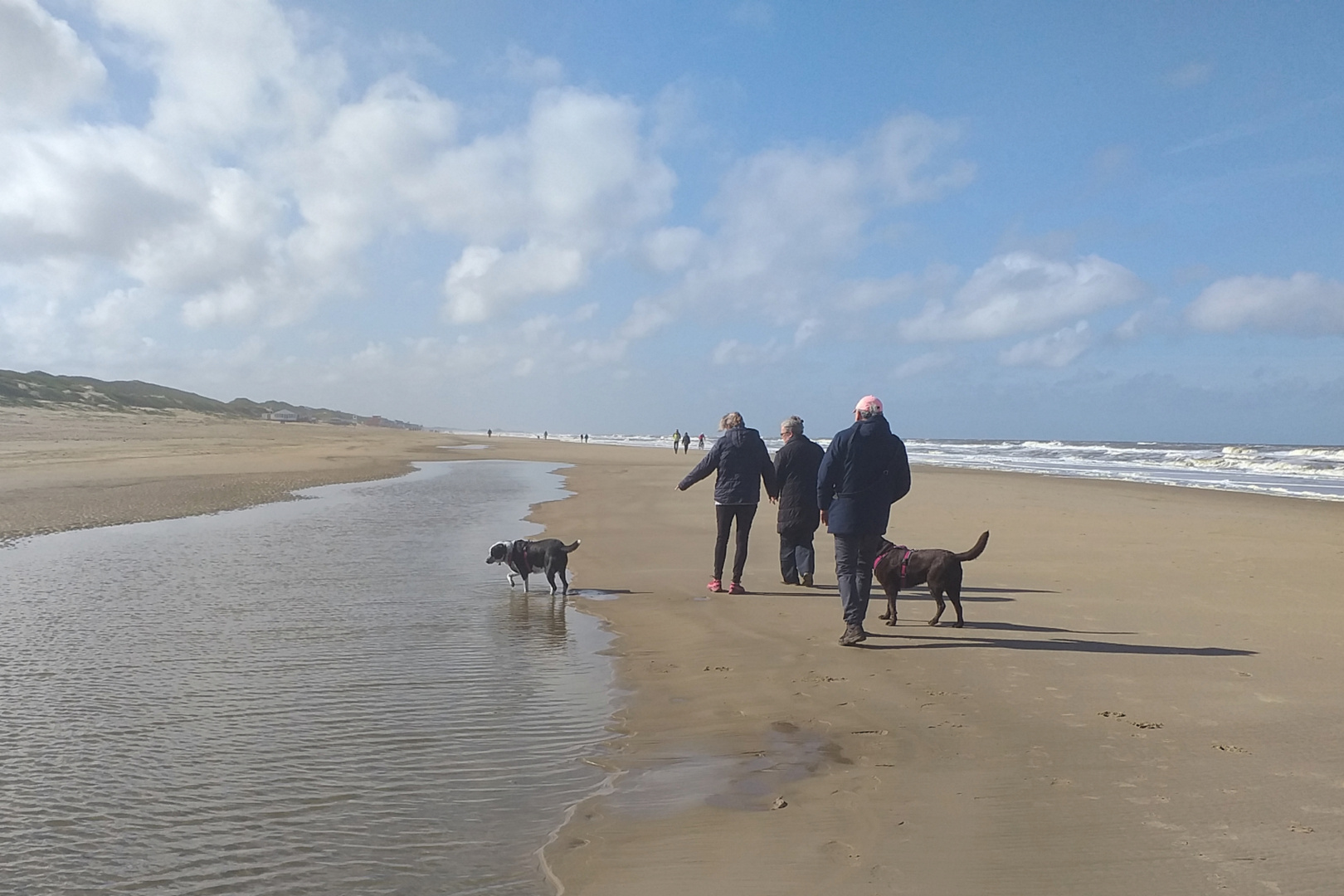 Strandspaziergang...