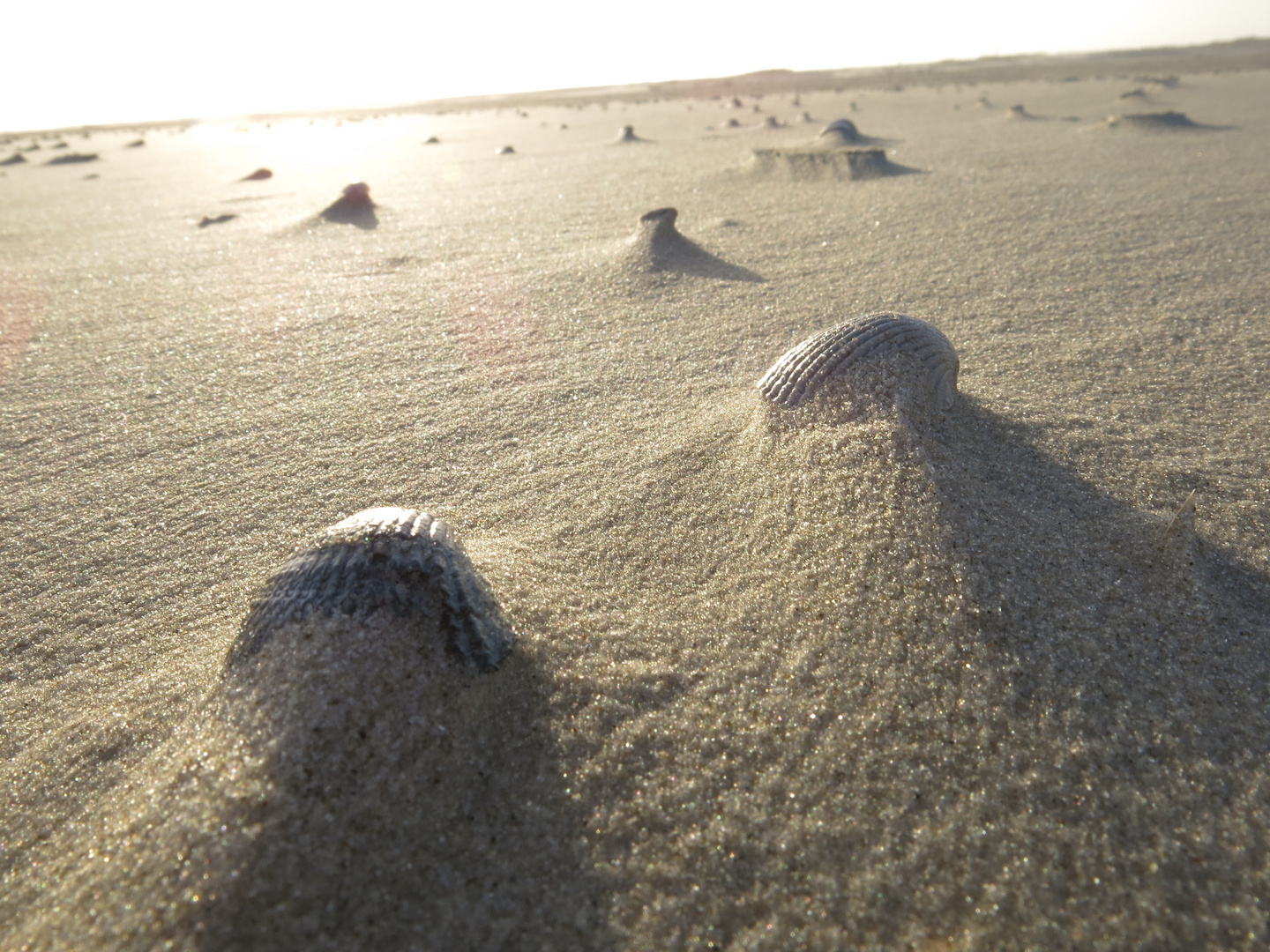 Strandspaziergang