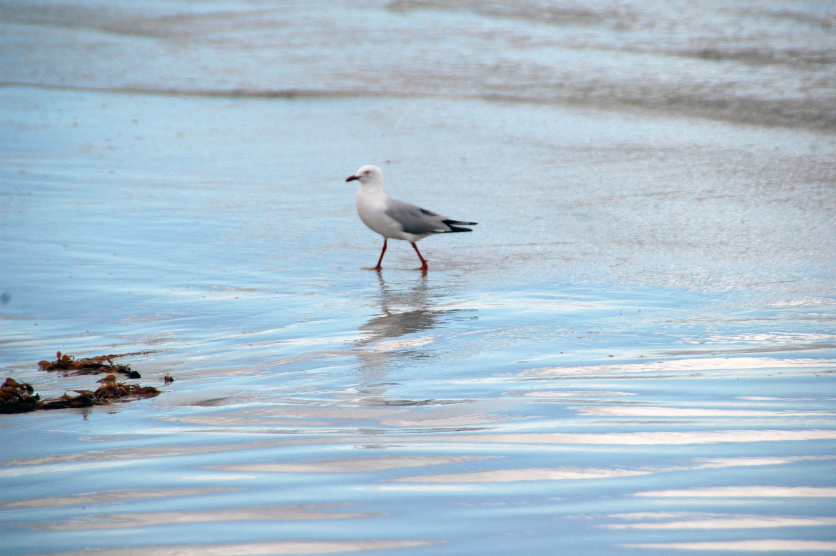 Strandspaziergang