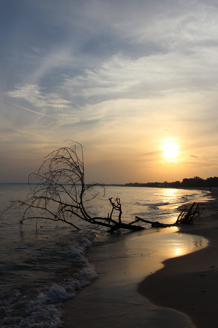 Strandspaziergang