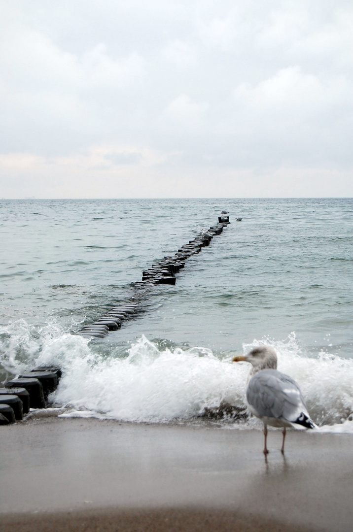 strandspaziergang