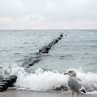 strandspaziergang