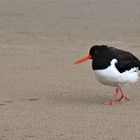 Strandspaziergang