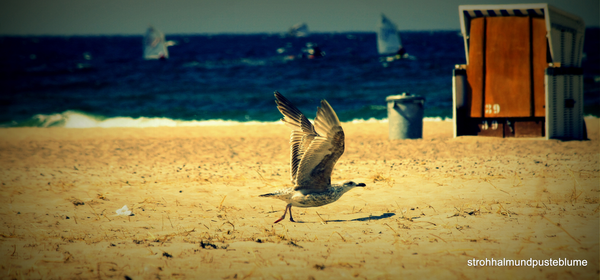 Strandspaziergang