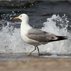 Strandspaziergang...