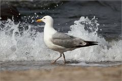 Strandspaziergang...