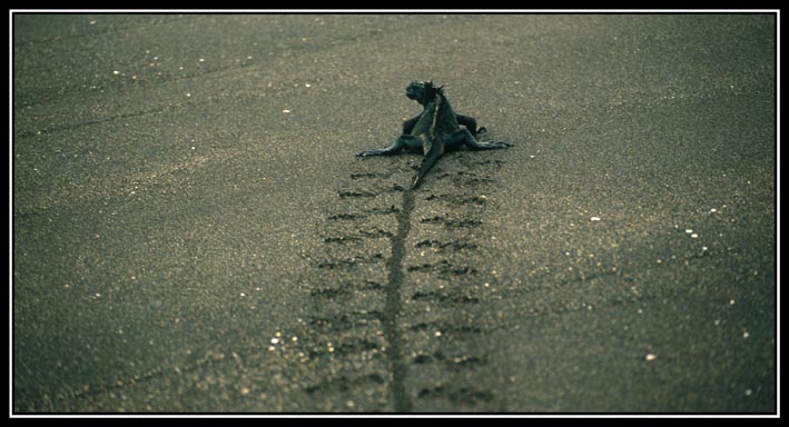 Strandspaziergang