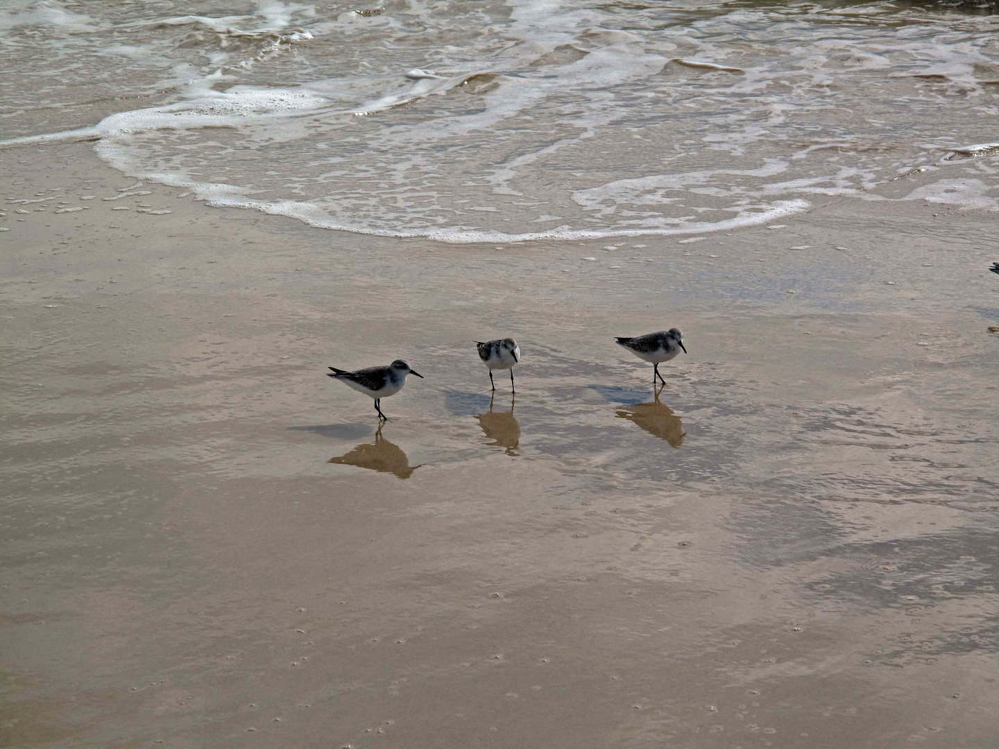 Strandspaziergang