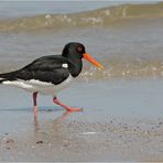 Strandspaziergang