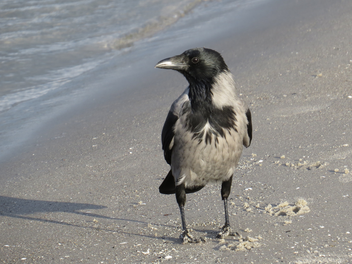 "Strandspaziergang"