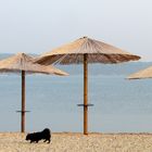 Strandspaziergang