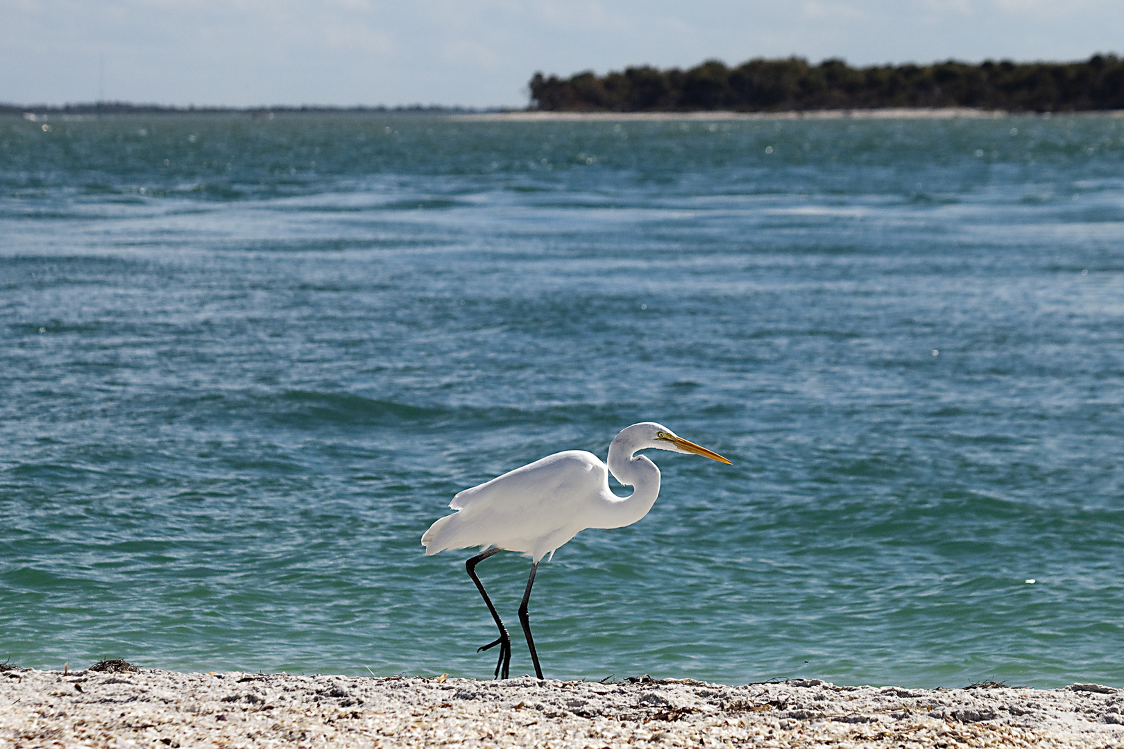 Strandspaziergang