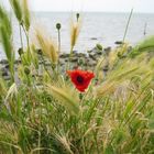 Strandspaziergang