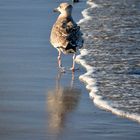 Strandspaziergang ;-)