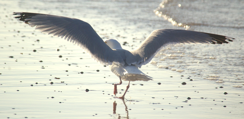 Strandspaziergang