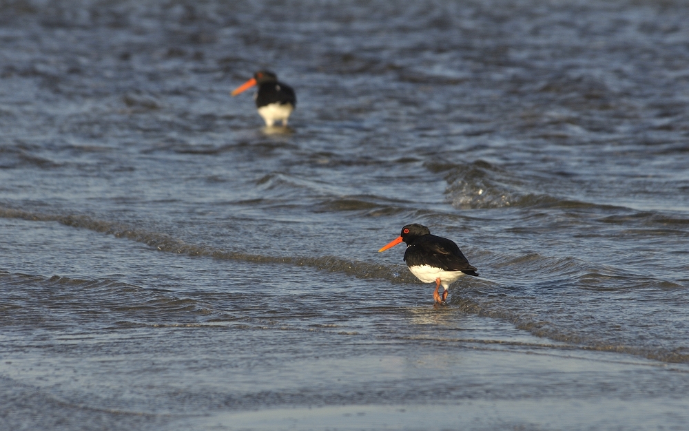 Strandspaziergang