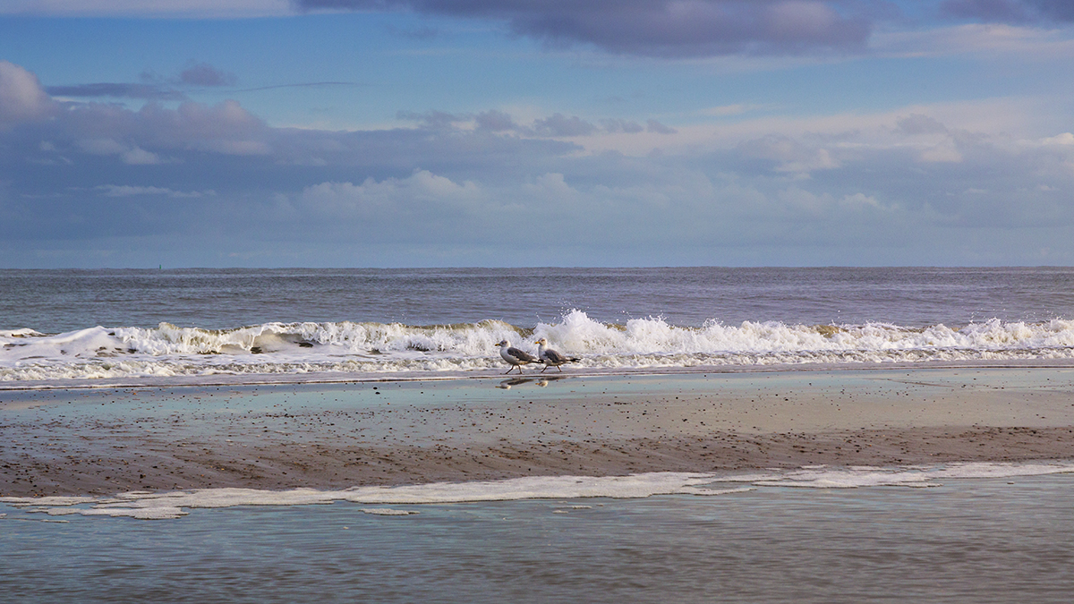 ... Strandspaziergang ...