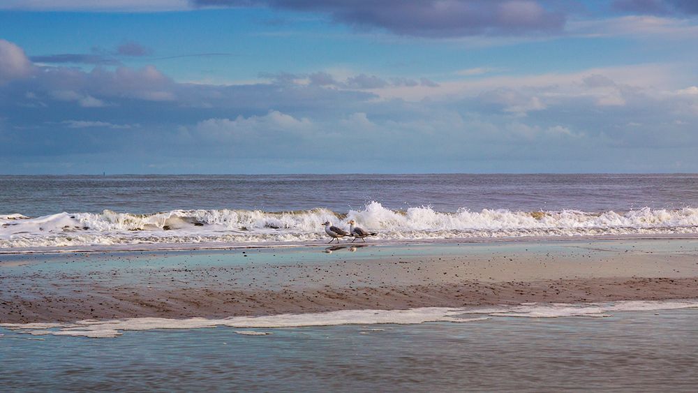 ... Strandspaziergang ...