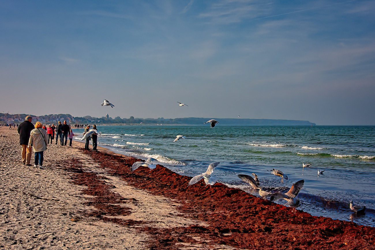 Strandspaziergang