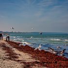 Strandspaziergang