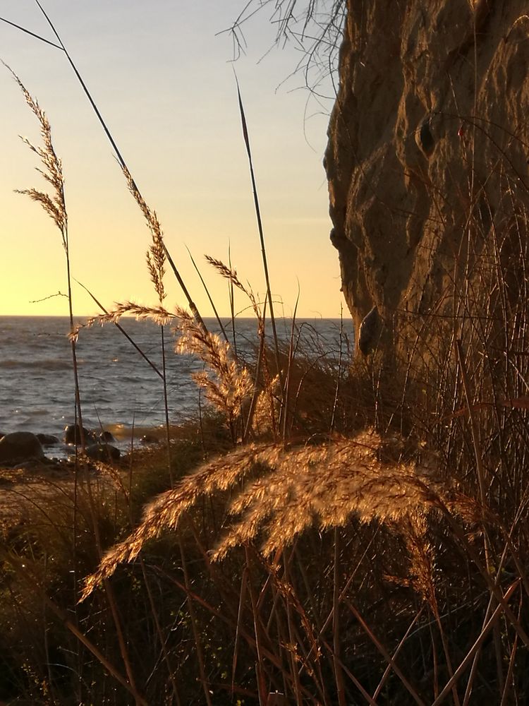 Strandspaziergang