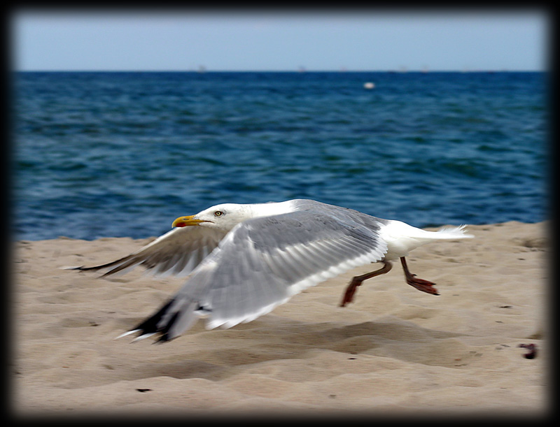 Strandspaziergang