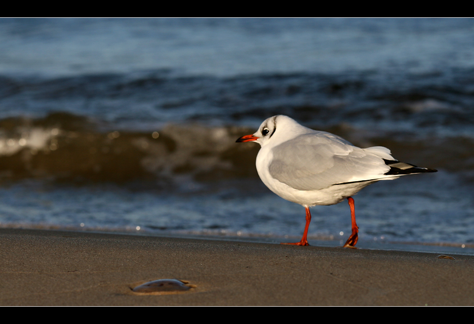 Strandspaziergang