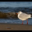 Strandspaziergang