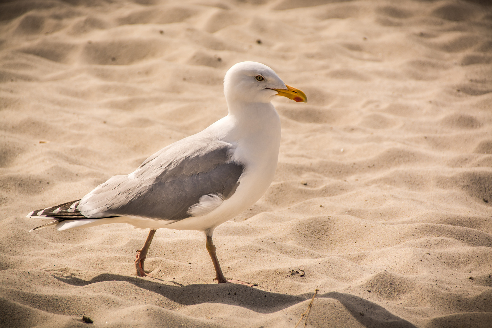 Strandspaziergang