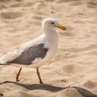 Strandspaziergang