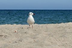 Strandspaziergang