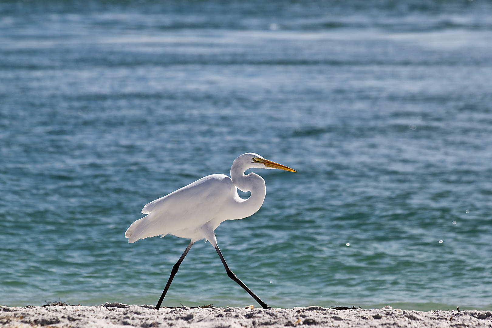 Strandspaziergang