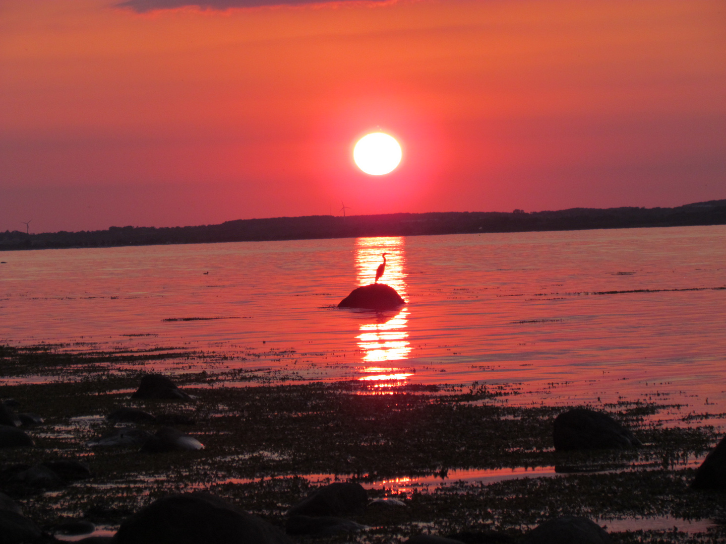 Strandspaziergang am Abend