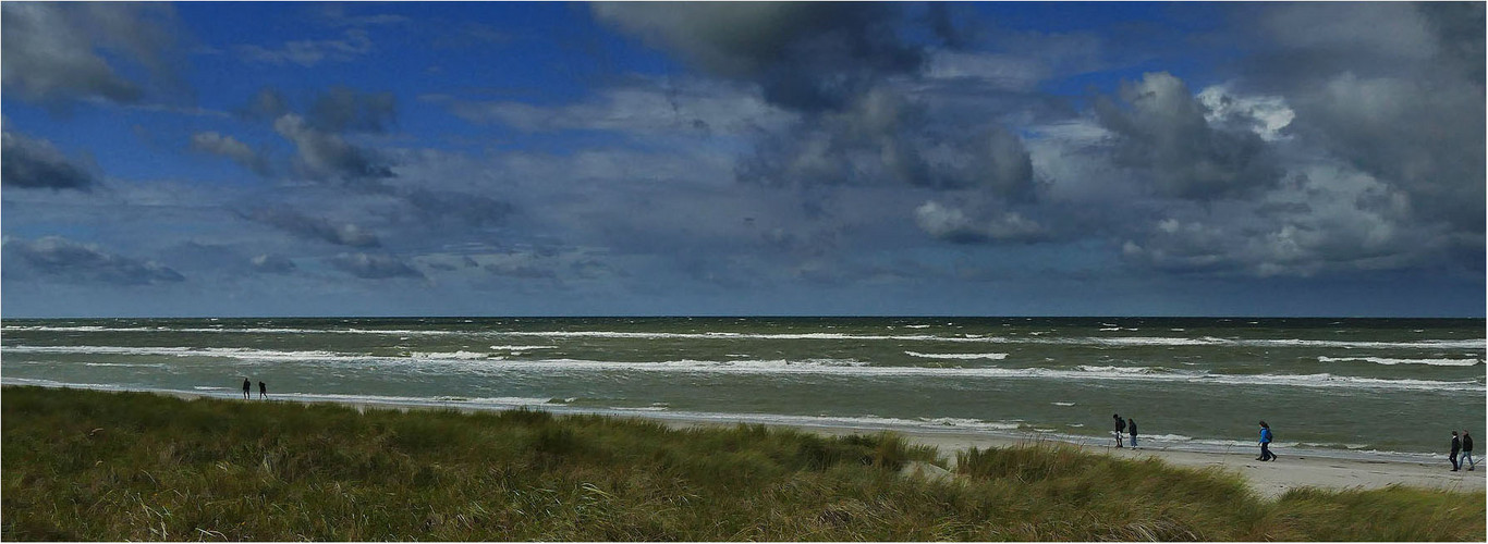 Strandspaziergang am Strand von Zingst