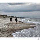 Strandspaziergang an der Nordsee DK